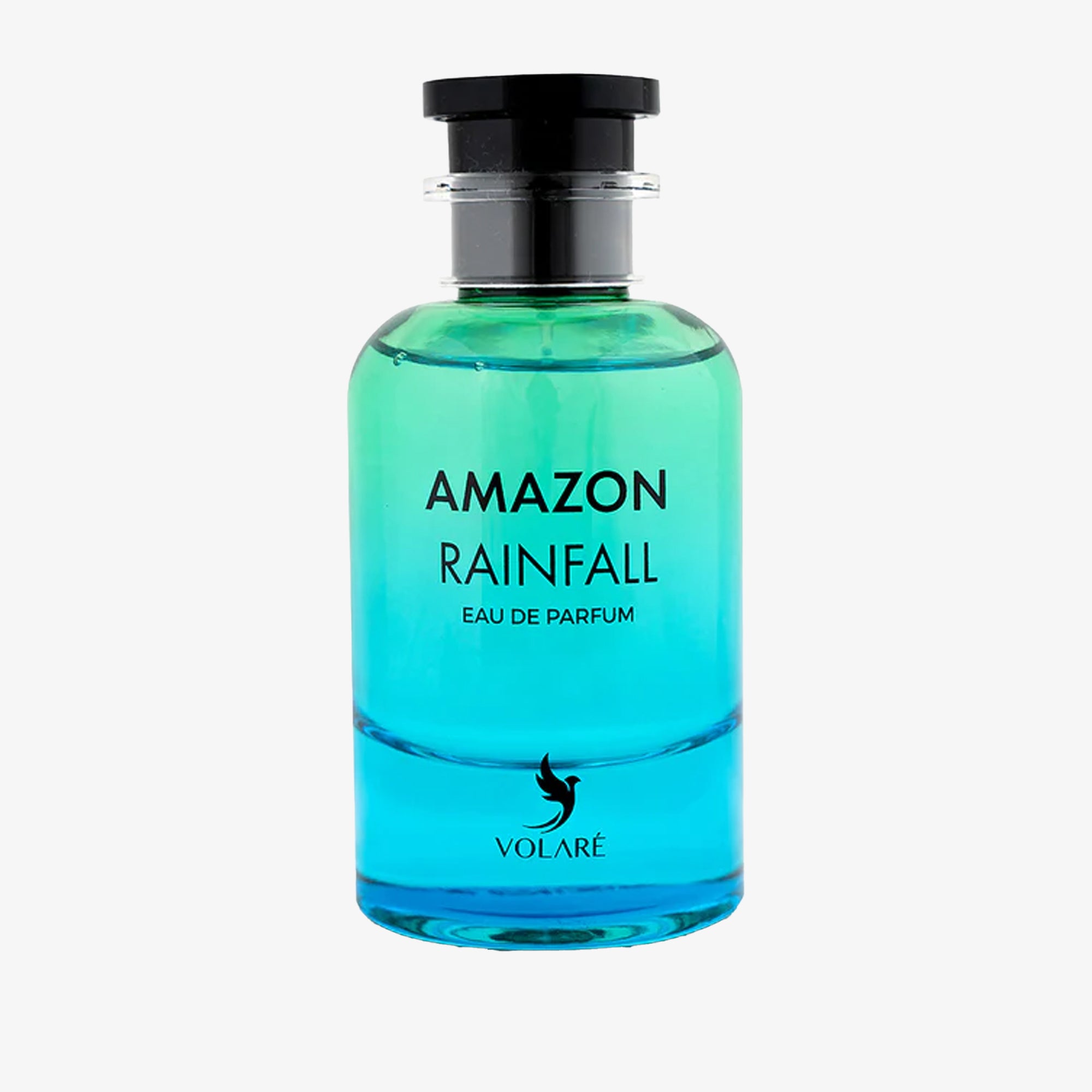 Amazon Rainfall